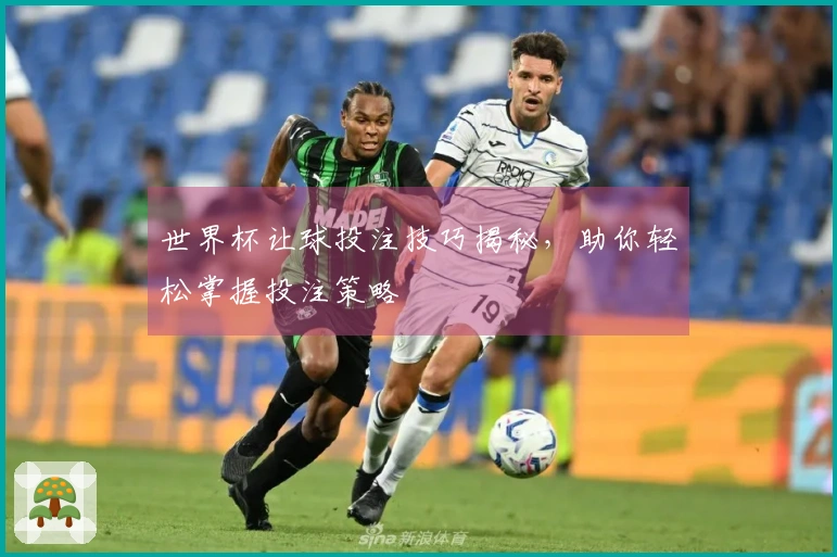 世界杯让球投注技巧揭秘，助你轻松掌握投注策略