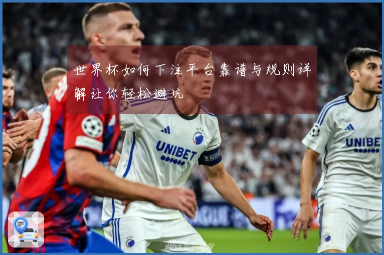 世界杯如何下注平台靠谱与规则详解让你轻松避坑