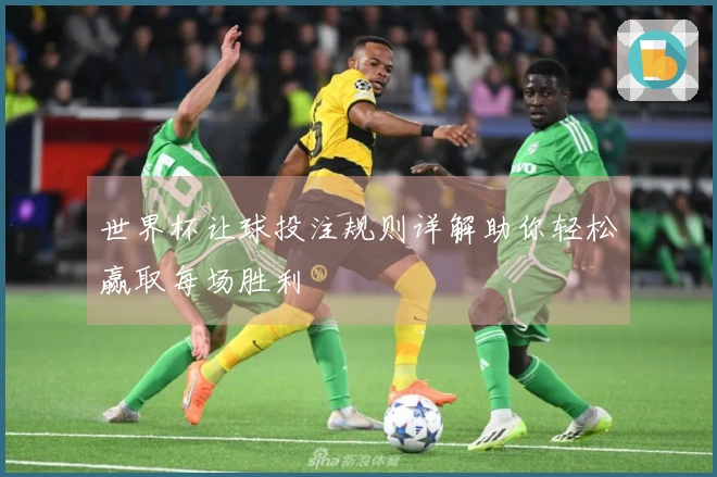 世界杯让球投注规则详解助你轻松赢取每场胜利