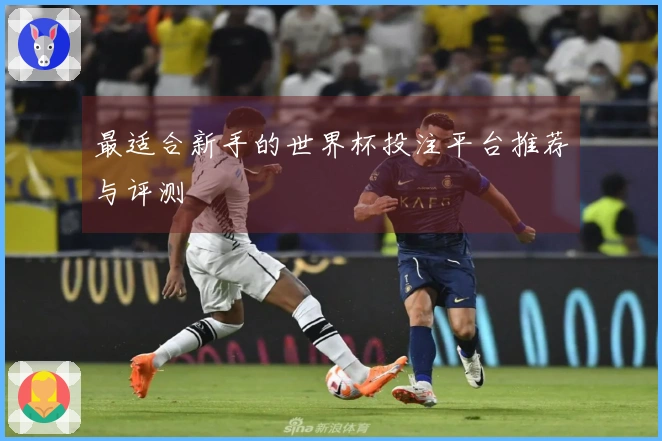 最适合新手的世界杯投注平台推荐与评测
