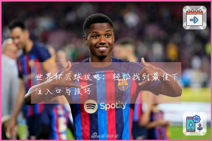 世界杯买球攻略：轻松找到最佳下注入口与技巧