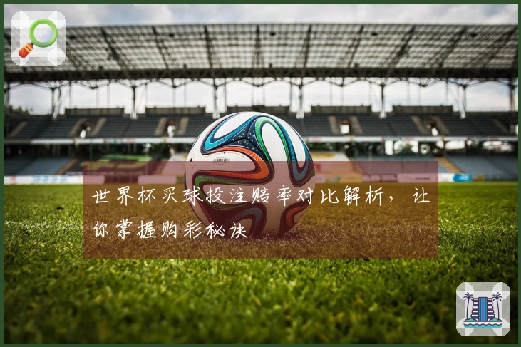 世界杯买球投注赔率对比解析,让你掌握购彩秘诀