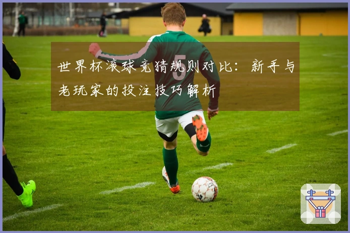 世界杯滚球竞猜规则对比：新手与老玩家的投注技巧解析