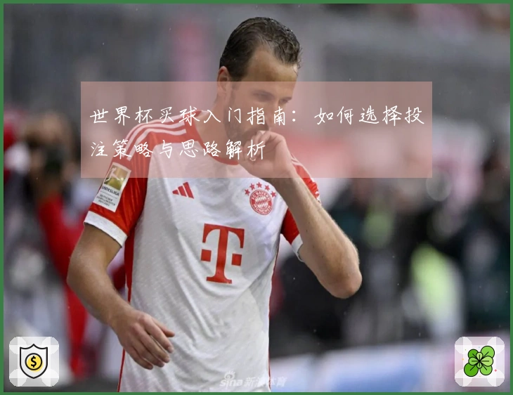 世界杯买球入门指南：如何选择投注策略与思路解析