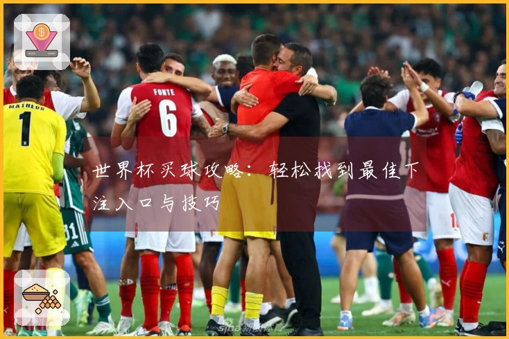 世界杯买球攻略：轻松找到最佳下注入口与技巧