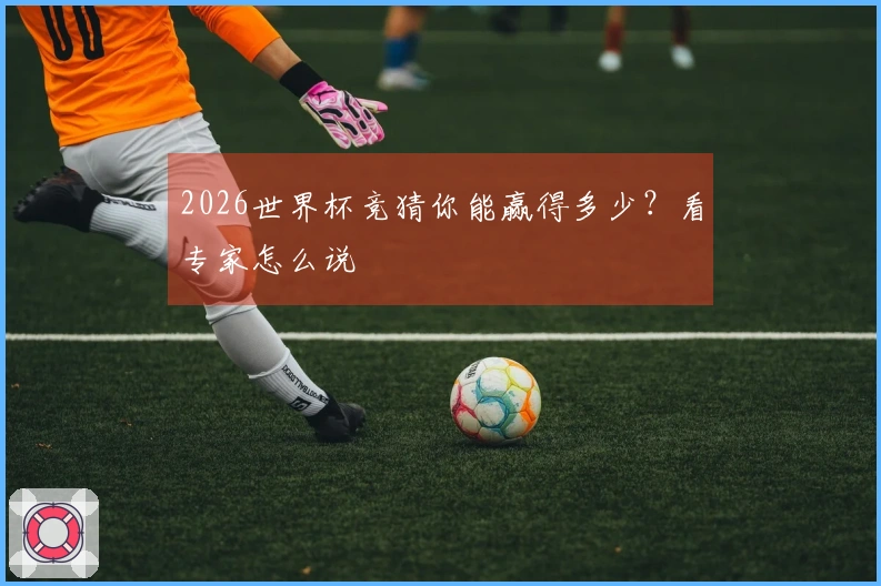 2026世界杯竞猜你能赢得多少?看专家怎么说