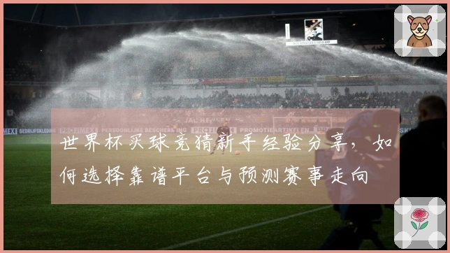 世界杯买球竞猜新手经验分享，如何选择靠谱平台与预测赛事走向