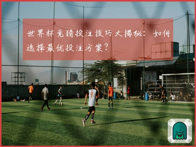 世界杯竞猜投注技巧大揭秘：如何选择最优投注方案？