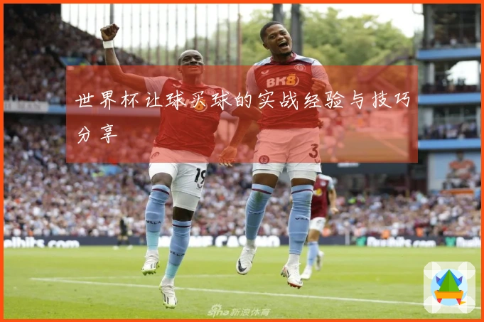 世界杯让球买球的实战经验与技巧分享