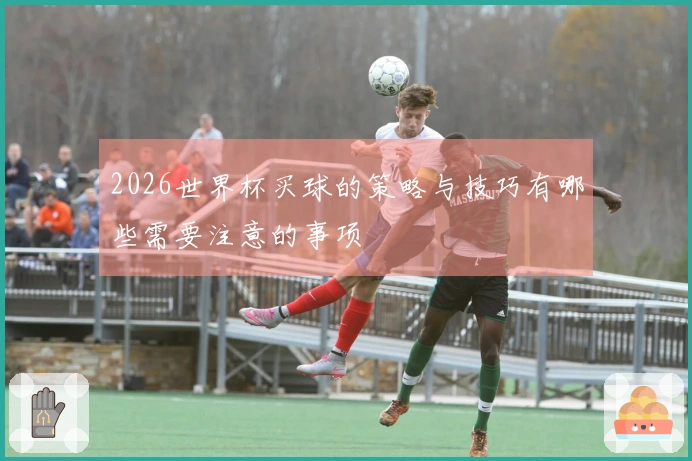 2026世界杯买球的策略与技巧有哪些需要注意的事项