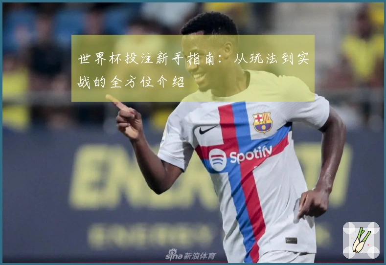 世界杯投注新手指南：从玩法到实战的全方位介绍