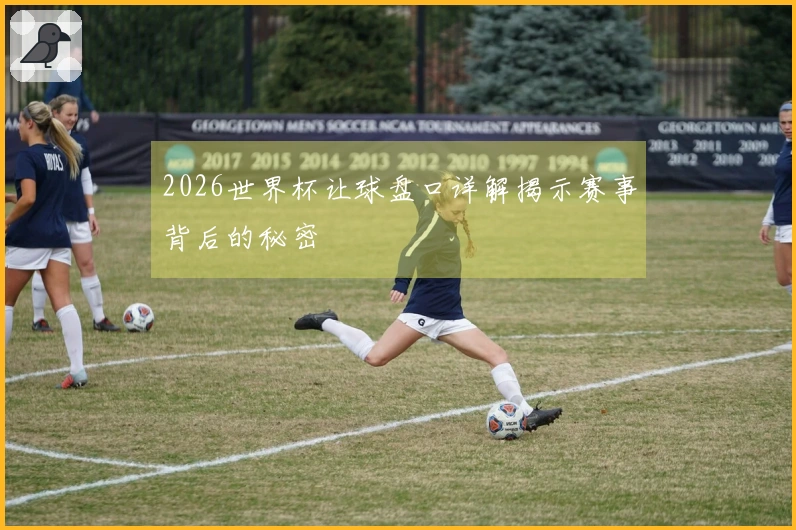 2026世界杯让球盘口详解揭示赛事背后的秘密