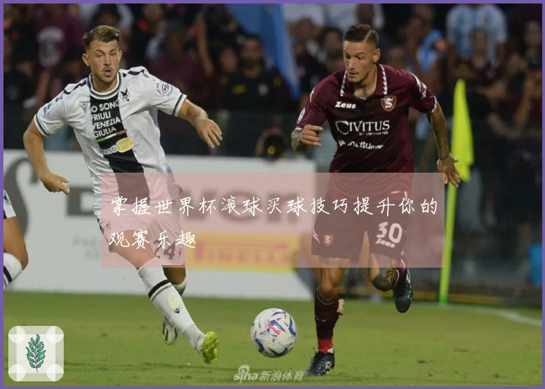 掌握世界杯滚球买球技巧提升你的观赛乐趣