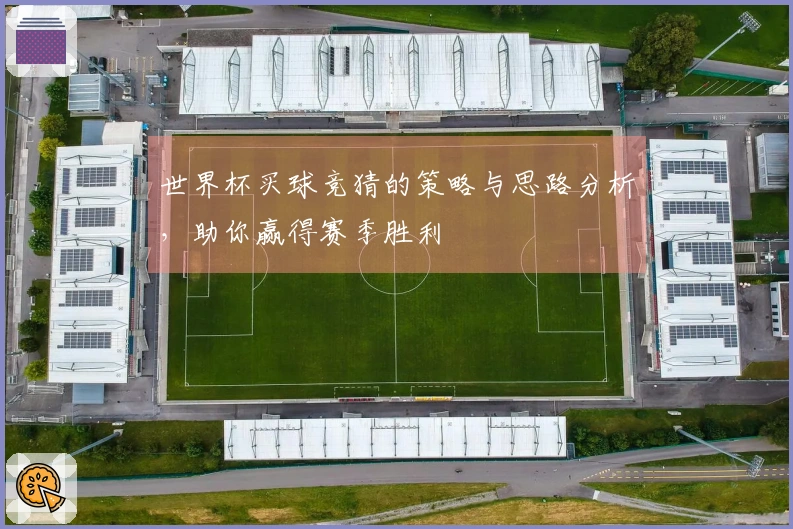 世界杯买球竞猜的策略与思路分析，助你赢得赛季胜利