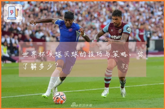 世界杯滚球买球的技巧与策略，你了解多少？