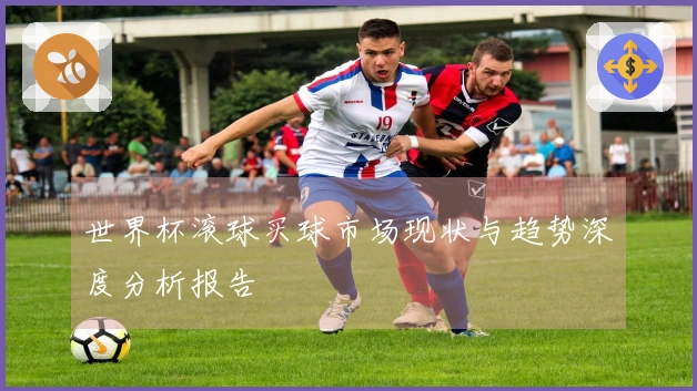 世界杯滚球买球市场现状与趋势深度分析报告